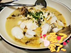 -辣四方新派川菜