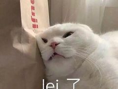 -中公教育考公考编(杨浦校区)