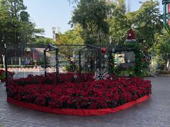 -尚泰清迈机场购物中心