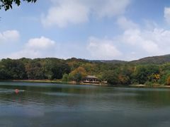 -紫霞湖公园