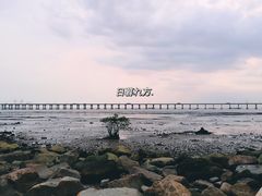 -宝安西湾红树林湿地公园