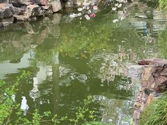 -水绘园