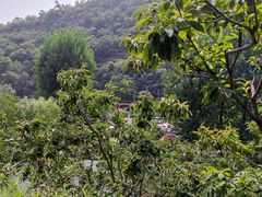 -北京水岸山吧度假村(雁栖镇店)