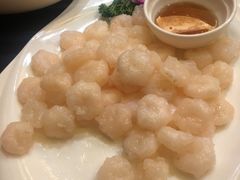 -新南华大酒店(广中店)