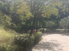 -田心森林公园