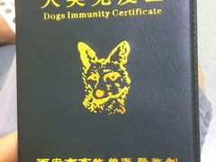 -瑞鹏宠物医院·爱宠堂·骨外专科(西荷分院)