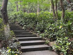 -杭州半山国家森林公园