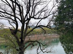 -蒋氏故居