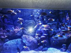 -成都浩海立方海洋公园