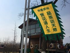 -北京凤凰岭