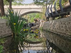 -白水寺森林公园