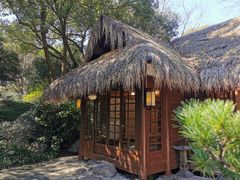 -中国茶叶博物馆(双峰馆区)