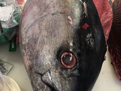 金枪鱼-7fresh七鲜(大族广场店)