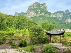 -王莽岭风景区