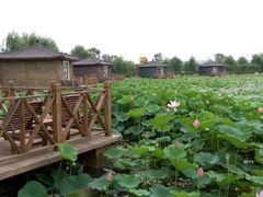 android_upload_pic-灵山莲花公园-温泉度假区