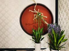 -圆苑(金茂店)