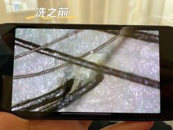 -Mr.JUDY洗个头发