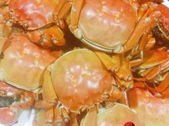 大闸蟹-小六农家乐(崇明西沙湿地店)