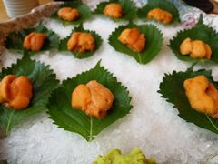 鲜活海胆-王鼎精致料理铁板烧(世博源店)