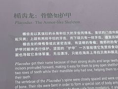 -上海自然博物馆