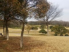 -宜兴龙背山森林公园