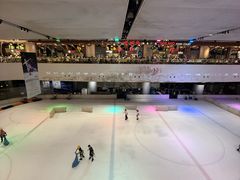 -TheRink大零溜冰场(IFS国金中心店)