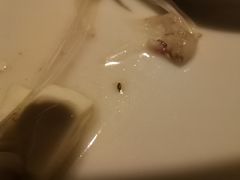 -姜君·千岛湖鱼头馆(浦东大道店)