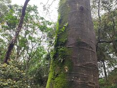-凤凰山公园-龙王古庙
