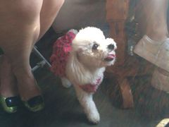 iphone_upload_pic-赢吧Bliss音乐酒吧