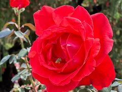 -人民公园(罗湖区)