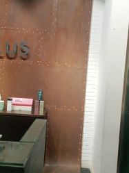 -IDOL-PLUS