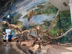 -自贡恐龙博物馆