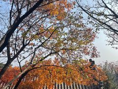 -妙峰山风景名胜区