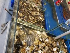 -姜家味锅贴小海鲜