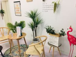 -蓝菲女子能量站·舞蹈·瑜伽·体塑