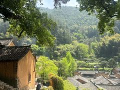-杨家堂村