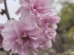 -茅草房·河畔园林火锅