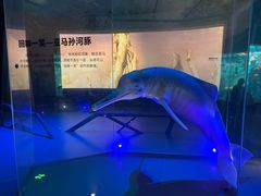 -武汉园博园(武汉自然博物馆)