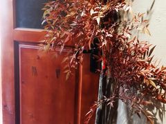 -567·密室逃脱(大良店)