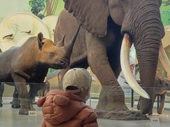 -陕西自然博物馆