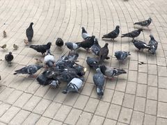 -莫斯科大学
