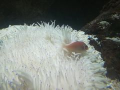 -苏州海洋馆
