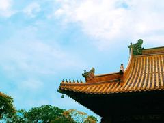 -杭州植物园