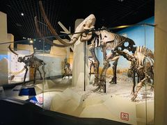 -国家自然博物馆