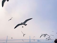 -星海广场