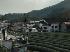 -龙井村