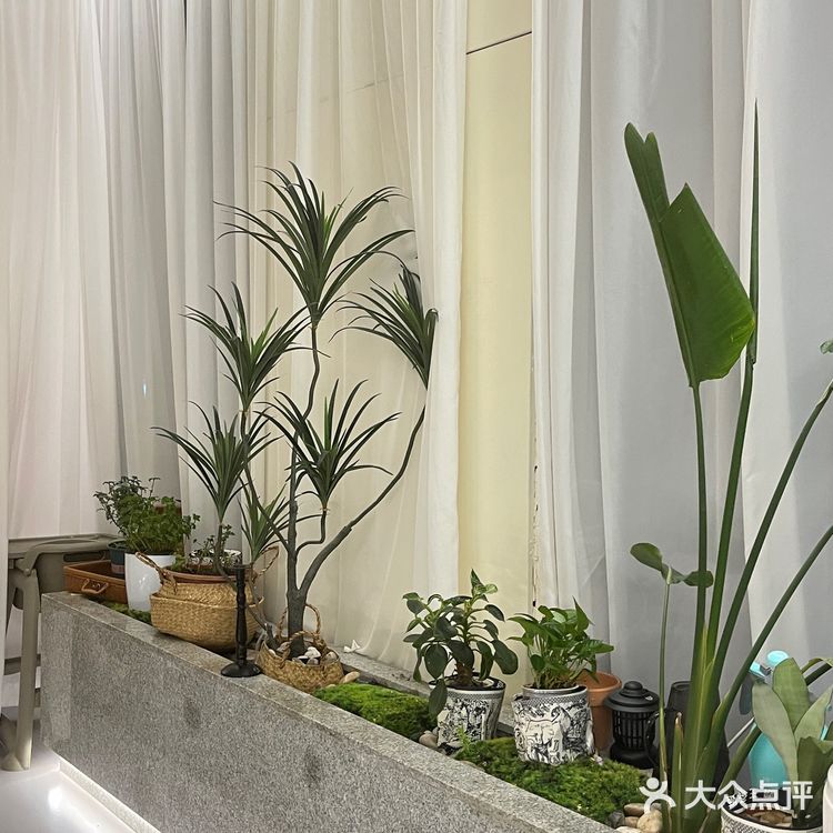 合肥步行街这家餐厅，简直是约会圣地！