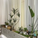 合肥步行街这家餐厅，简直是约会圣地！