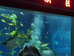 -太平洋海底世界