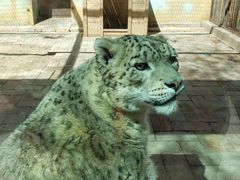 -青藏高原野生动物园